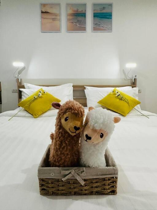 Alpaca Sky View Apartment *